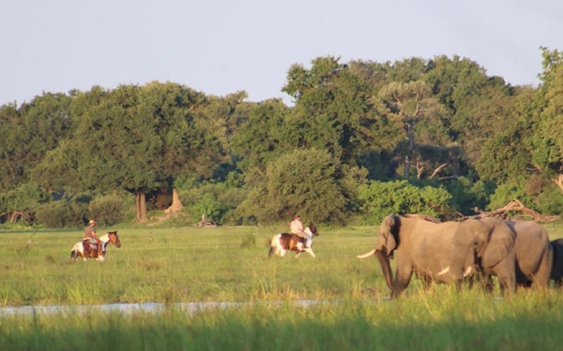 6 Day Okavango Delta Horseback Safari in Botswana